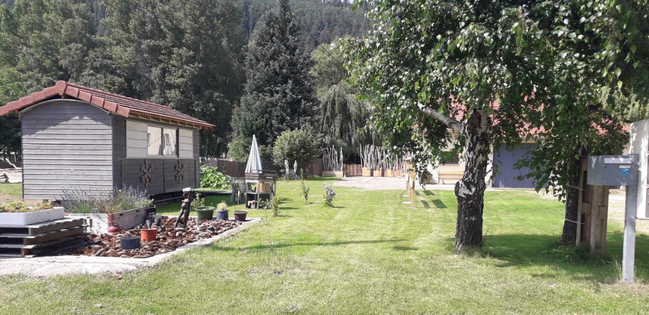 Gites, les Sapins, les Jonquilles, le Sagard nature et détente La Houssiere Esterno foto